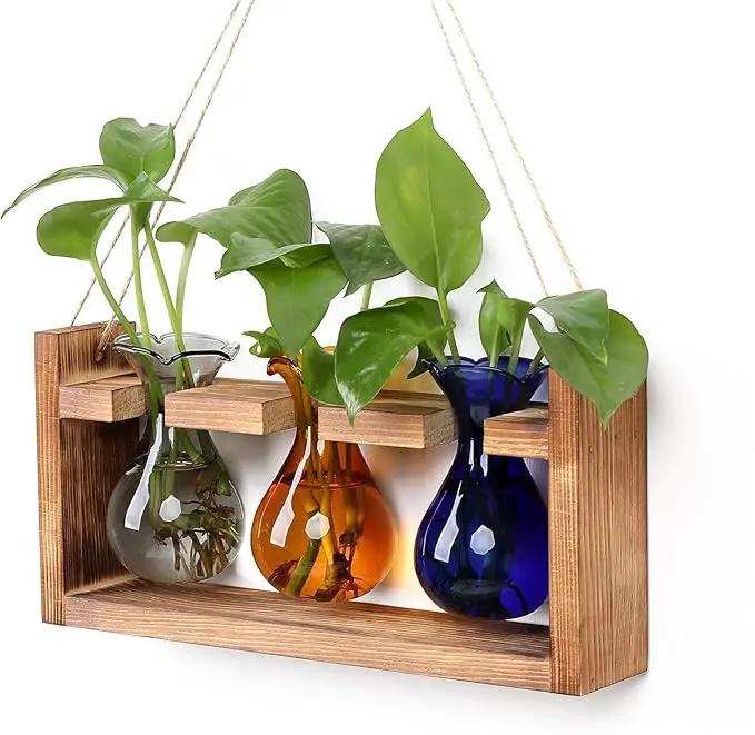 Plant Propagation Station Plant Terrarium Unique Birthday Gifts for Women Plant Lovers Home Office Decor Planter with Wooden Stand - 3 Bulb Glass Vase by GreenHaven Gardens