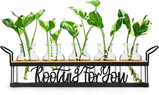 THYGIFTREE Plant Propagation Stations, Mothers Day Plant Lover Gifts for Mom Women Rooting for You Propagate Jars for Hydroponic Cuttings Propagating Vase by GreenHaven Gardens