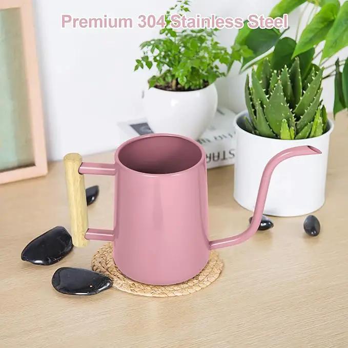 Watering Can Indoor Plants, 35 oz/1000 ml Metal Stainless Steel Watering Can Pot with Long Spout for Indoor House Plants Bonsai Outdoor Garden Flower Decorative (Pink) by GreenHaven Gardens
