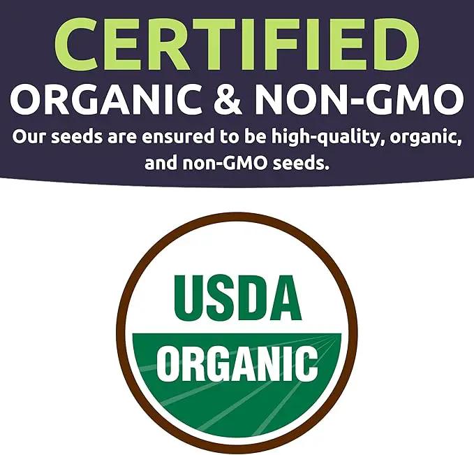 Organic Seeds Essential Variety Pack - 10 Individual Packs - 2025 Season - Summer Squash, Cherry Tomatoes, Arugula, Broccoli and More! for Indoor & Outdoor Planting (Non-GMO, Certified Organic) by GreenHaven Gardens