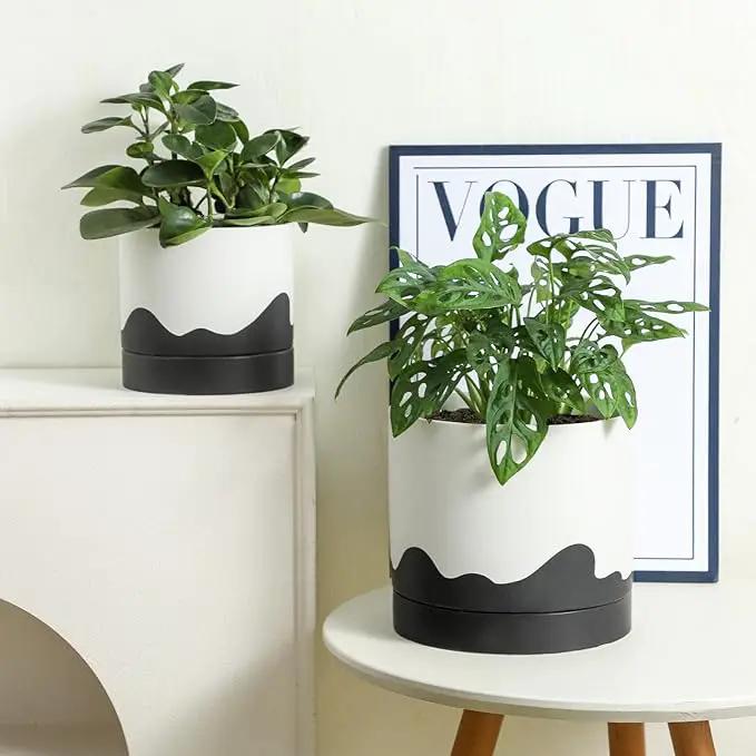 Nihow Ceramic Plant Pot: 8 Inch Planter with Drainage Hole & Saucer for Indoor & Outdoor Plants - Cylinder Round Flower Pot for Succulent/Herbs/Violets - White & Wave Black by GreenHaven Gardens