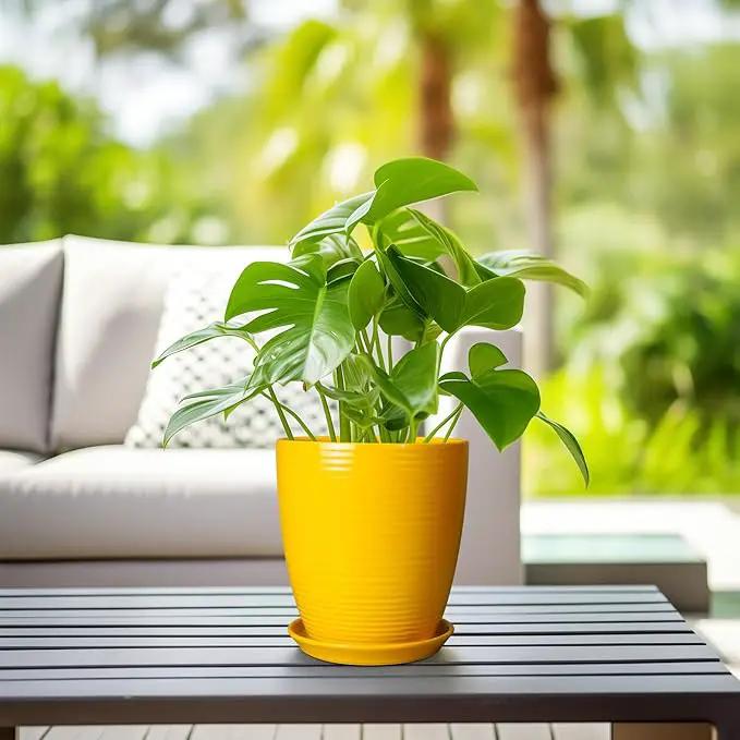Ceramic Plant Pot - 8 Inch Planter Pot with Drainage Hole and Saucer Round Planter for Indoor Outdoor Plants Flower Pot for Home Patio Garden Office Yellow by GreenHaven Gardens