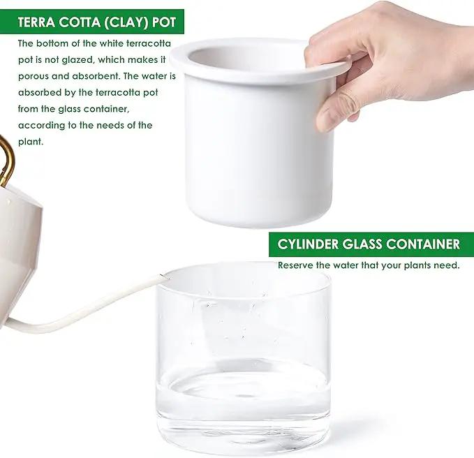 Phoenix Vine 4 Inch Self Watering Planter Pot, Design White Terracotta Pots for Plants, Indoor Cylinder Terra Cotta Pots with Glass Vase, Set of 2, 51-B-E-2 by GreenHaven Gardens