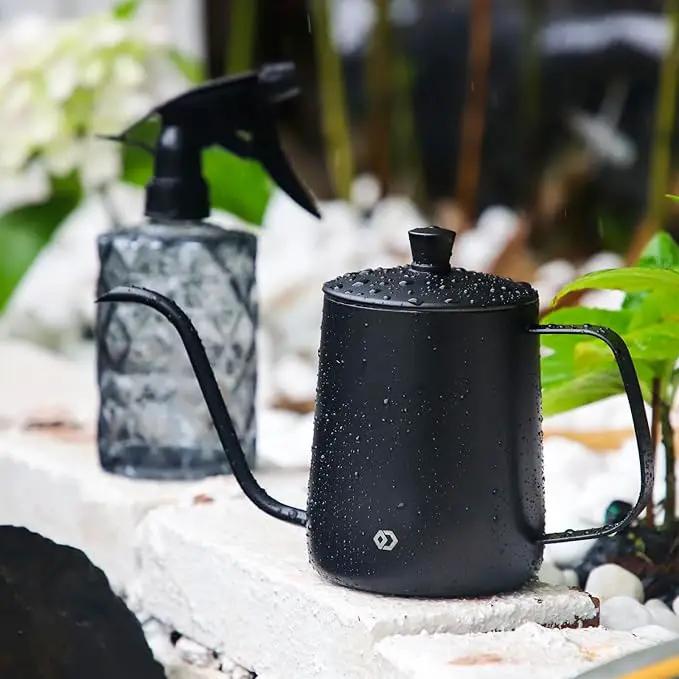 OFFIDIX Watering Can for Indoor Plants,Long Spout Metal Stainless Steel 21 oz/600 ml Watering Can with 14 oz/400ml Glass Plant Mister Spray Bottle for Plant Bonsai by GreenHaven Gardens