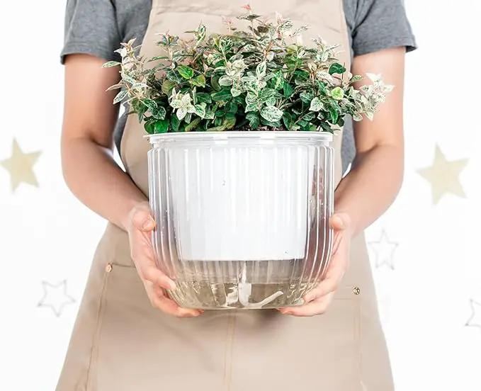 Melphoe 1 Pack Self Watering Hanging Planters Indoor Flower Pots, 8.3 Inch Outdoor Hanging Plant Pot Basket, Plant Hanger with 3Hooks Drainage Holes for Garden Home by GreenHaven Gardens