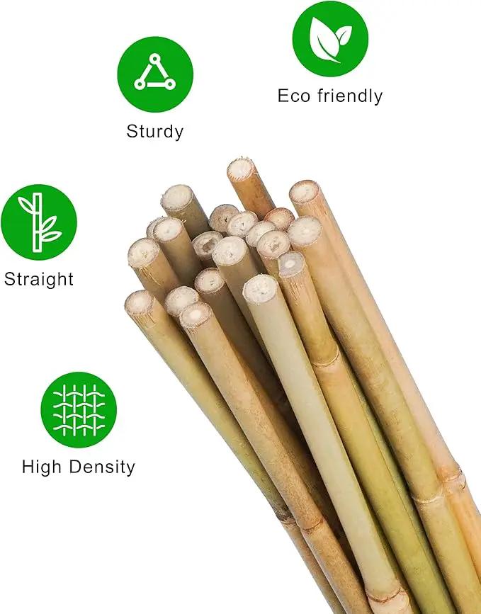 2ft Natural Bamboo Plant Stakes for Tomatoes, Beans, Flowers, Potted, Climbing Plants 25pcs by GreenHaven Gardens