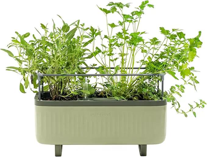 Vego garden Herb Indoor Plant Box, Self Watering Planters Pots for Indoor Plants with Trellis for Kitchen Window Sill or Countertop Plants Cage - Sage Green by GreenHaven Gardens
