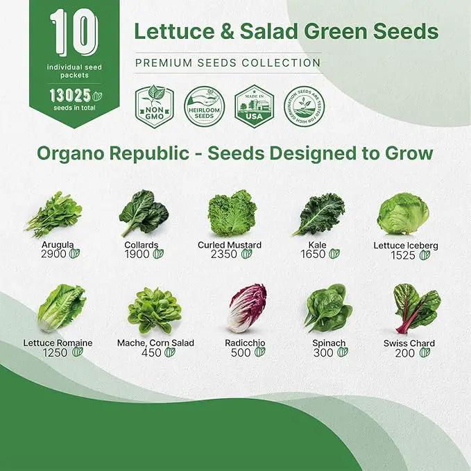 Organo Republic 10 Lettuce & Salad Greens Seeds Variety Pack 13000+ Non-GMO Heirloom Lettuce Seeds for Planting Indoors & Outdoors Garden, Hydroponics - Arugula, Radicchio, Kale, Spinach, Swiss Chard by GreenHaven Gardens