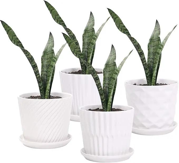 Plant Pots - 5.5 Inch Cylinder Ceramic Planters with Connected Saucer, Pots for Succuelnt and Little Snake Plants, Set of 4, White by GreenHaven Gardens