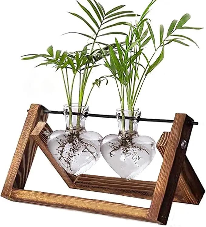 Kingbuy Glass Desktop Planter with Retro Wooden Stand and Plant Terrarium Vase (2 Hearts) for Indoor Home Office Desk Decor Accessories by GreenHaven Gardens