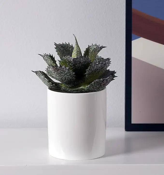 Duovlo Artificial Succulent Plant 5.15 Inch Faux Succulents Agave potatorum Flower Arrangement Craft Wall DIY Materials,Pack of 2 (New Green) by GreenHaven Gardens
