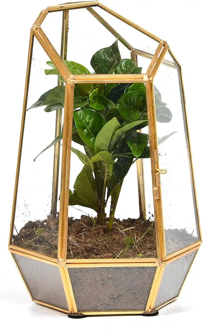 Golden Geometric Glass Terrarium with Door - 9.8" Tall Irregular Clear Planter for Succulents,Ferns,Moss,Cacti | Indoor Fairy Garden,Tabletop Display,Wedding Home Decoration (Plants Not Included) by GreenHaven Gardens
