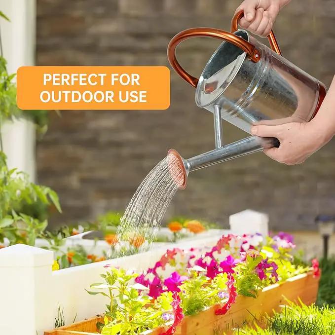Metal Watering Can for Outdoor Plants, Galvanized Steel Watering Can with Removable spout, 1 Gallon,Perfect Home & Garden Décor Retro Zinc Hue by GreenHaven Gardens