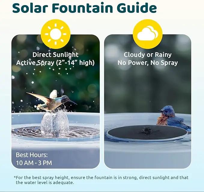Birdfy Smart Bird Bath with Camera Solar Powered & Fountain, Dual-Lens Camera for Wildbird Watching, Auto Capture Bird Videos & Motion Detection - AI Lifetime Version by GreenHaven Gardens