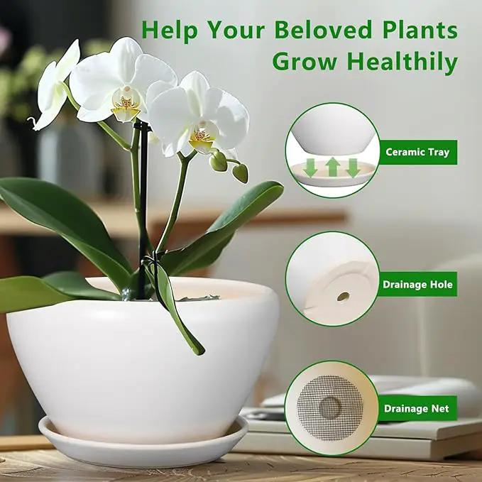 Ceramic Planter for Indoor Plants - 11 Inch Plant Pot with Drainage Hole and Saucer Decorative Round Large Planter Pot for Plants Outdoor Flower Pot for Garden White by GreenHaven Gardens