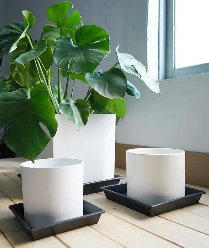 Square Plant Saucer 14 Inch 4 Pack, Plant Stand Plant Trays for Pots Heavy Duty Plastic Plant Saucers for Indoors Outdoors, Flower Pot No Holes Terracotta Plant Lover Gardening Gifts by GreenHaven Gardens