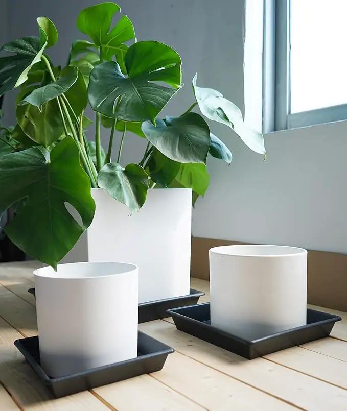 Square Plant Saucer 18 Inch 2 Pack 10 14 16 18 20 Extra Large Plant Trays for Pots Heavy Duty Plastic Plant Saucers for Indoors Outdoors, Flower Pot No Holes Plant Drip Trays by GreenHaven Gardens