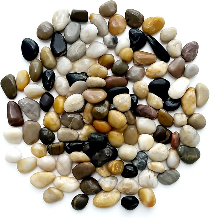 Rocks for Plants 5 Lbs, 0.8-1.5 Inch High Polished Pebbels, Decorative Stones for Garden Landscaping, Smooth Gravel Filler for Outdoor Plants, Succulents, Fish Tank and Vases by GreenHaven Gardens