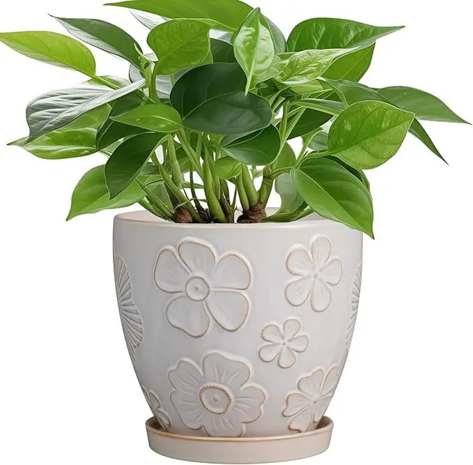 6.9 Inch Plant Pot with Drainage Hole and Saucer Ceramic Planter for Indoor Plant Flower Pot for Orchid Succulents Plants White by GreenHaven Gardens