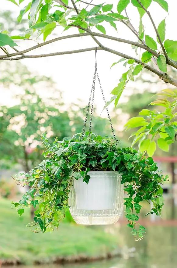 Melphoe 1 Pack Self Watering Hanging Planters Indoor Flower Pots, 8.3 Inch Outdoor Hanging Plant Pot Basket, Plant Hanger with 3Hooks Drainage Holes for Garden Home by GreenHaven Gardens