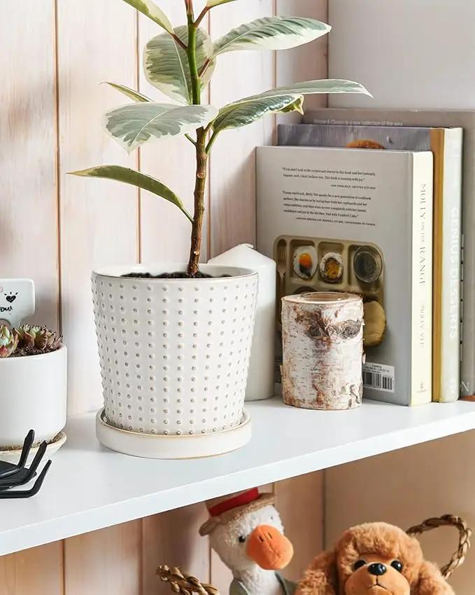 LE TAUCI Ceramic Plant Pots, 5.4 Inch Pots for Indoor Plants, Planters with Drainage Hole and Saucer, Flower Pots for Succulent, Snake Plants and Cactus, Set of 2, Reactive Glaze White by GreenHaven Gardens