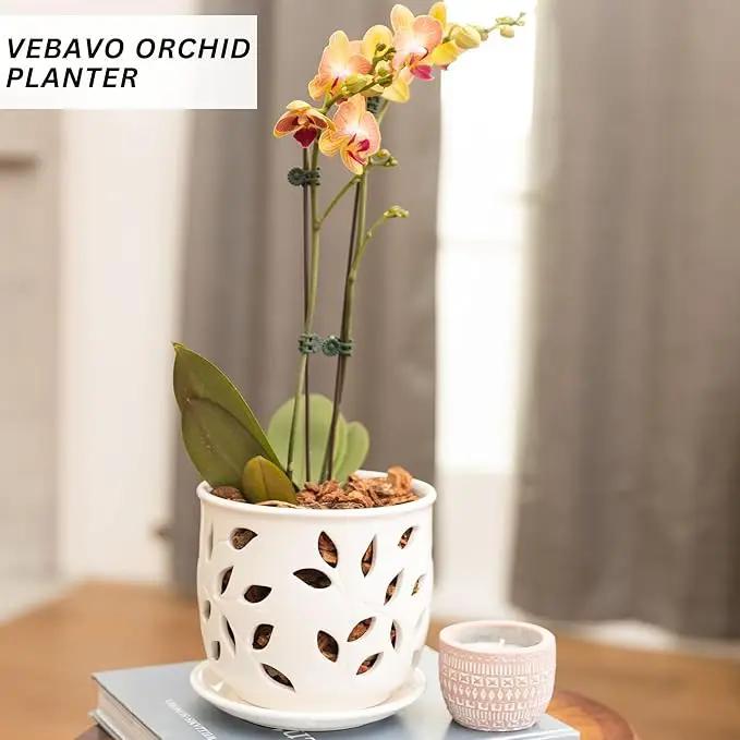 Orchid Pot with Holes & Saucer Ceramic 6.5 in. Indoor or Outdoor Large Pot for Orchid Care & Root Health with Precise Aeration & Drainage – Durable for Repotting or New Plants by GreenHaven Gardens
