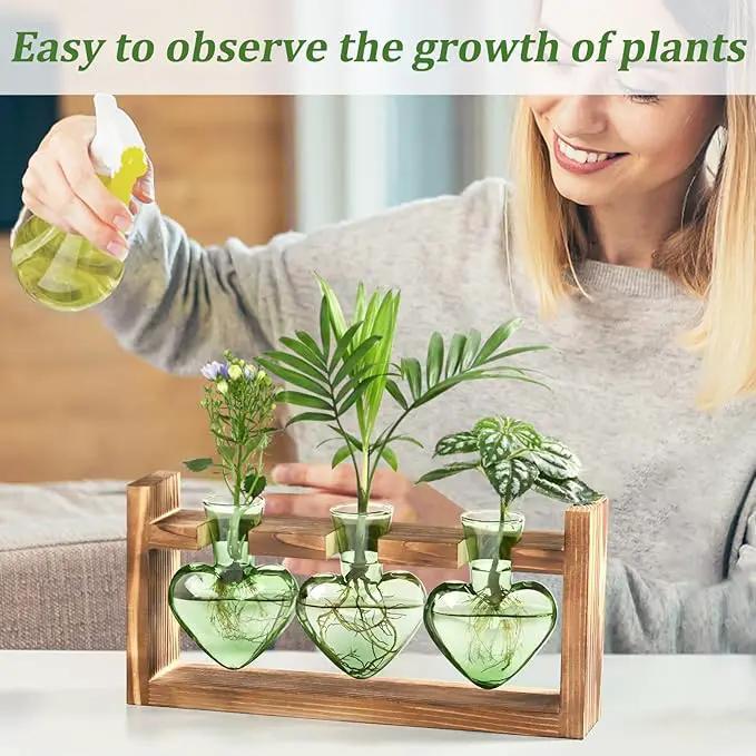 Lifecapido Heart Shaped Propagation Stations, Plant Terrarium with Wooden Stand, Plant Propagation Station for Hydroponics Office Garden Home Decor, Gifts for Women Plant Lover (3 Vases, Mint Green) by GreenHaven Gardens