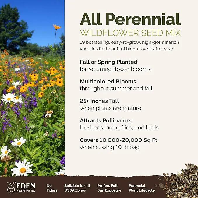 Eden Brothers All Perennial Wildflower Mixed Seeds for Planting, 10 lb, 4,800,000+ Seeds with Lupine, Shasta Daisy | Attracts Pollinators, Plant in Spring or Fall, Zones 3, 4, 5, 6, 7, 8, 9, 10 by GreenHaven Gardens