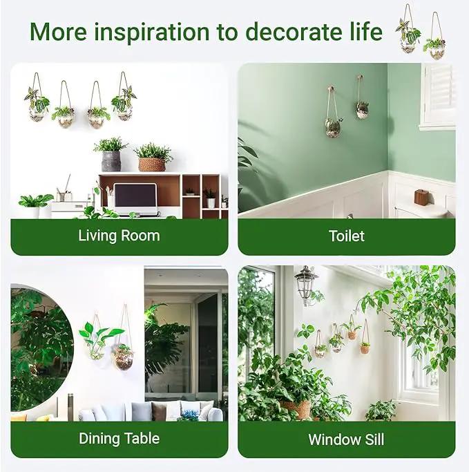 Wall Hanging Glass Planter Air Planter Terrarium Vase Propagation Stations for Hydroponic Plants, Succulent Moss Tillandsias Air Plants Globe,Home Office Garden Decor, Set of 2 by GreenHaven Gardens