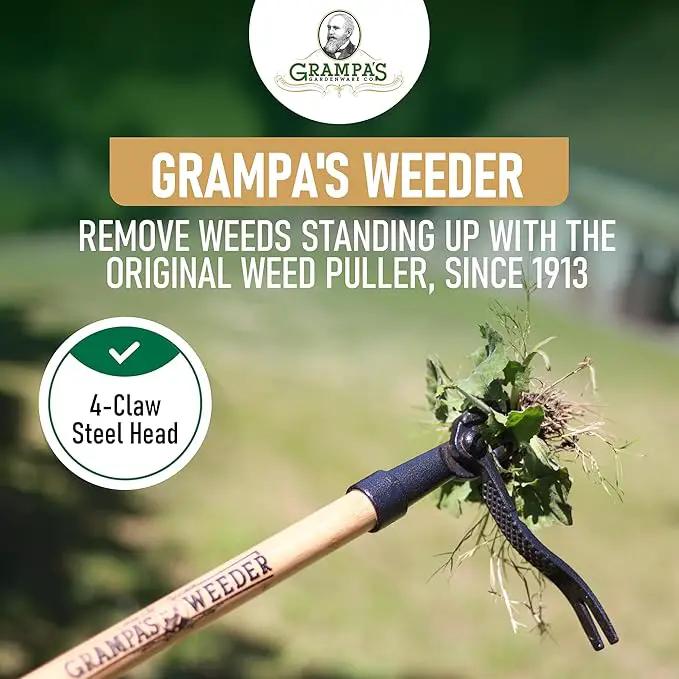 Grampa's Weeder - The Original Stand Up Weed Puller Tool with Long Handle - Made with Real Bamboo & 4-Claw Steel Head Design - Easily Remove Weeds Without Bending, Pulling, or Kneeling. by GreenHaven Gardens