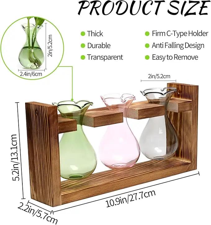 Plant Propagation Station Plant Terrarium Unique Birthday Gifts for Women Plant Lovers Home Office Decor Planter with Wooden Stand - 3 Bulb Glass Vase by GreenHaven Gardens