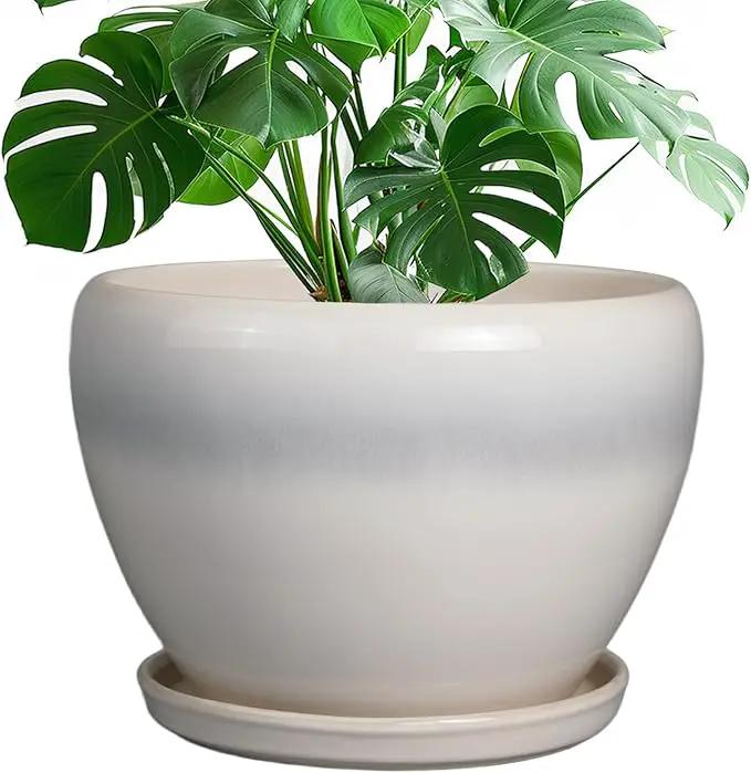 10 Inch Ceramic Planter Pot - Large Plant Pot with Drainage Hole and Saucer Round Flower Pot for Indoor Plants, White by GreenHaven Gardens