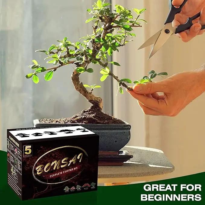 Bonsai Tree Kit with Complete Plant Growing Tools, Grow in Pot Indoor Bonsai Tree Starter Kit, Home Gardening DIY Gift for Adult by GreenHaven Gardens