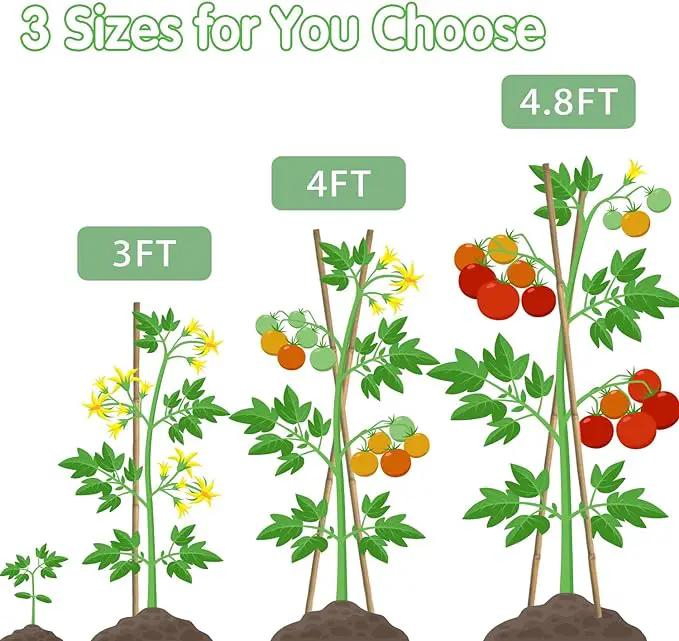 Bamboo Stakes,3FT Natural Bamboo Garden Stakes,BOVITRO 25Pcs Bamboo Plant Stakes,Bamboo Sticks for Tomato,Beans,Vegetable and Climbing Plants by GreenHaven Gardens