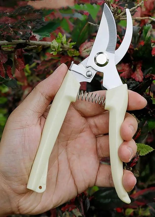Garden Flower Shears Pruning Shears 6.9 inches Scissors Heavy Duty Plant Scissors for Cutting Flowers, Trimming Plants, Bonsai, Fruits Picking (White Handle) by GreenHaven Gardens