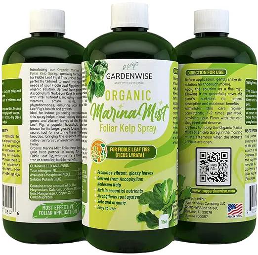 Organic Marina Mist Foliar Spray for Fiddle Leaf Fig and Other Ficus Trees | Micro Nutrients for Vital Health | Gentle Formula | Liquid Plant Food | Quick Results | Ready to Use (8 OZ) by GreenHaven Gardens