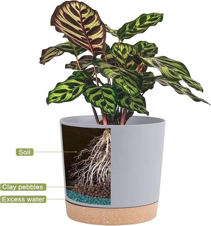QCQHDU 6.5 inch Plant Pot, 2 Pack Planters for Indoor Plants with Drainage Holes & Saucer, Outdoor Flower Pots Home Garden Modern Decor by GreenHaven Gardens
