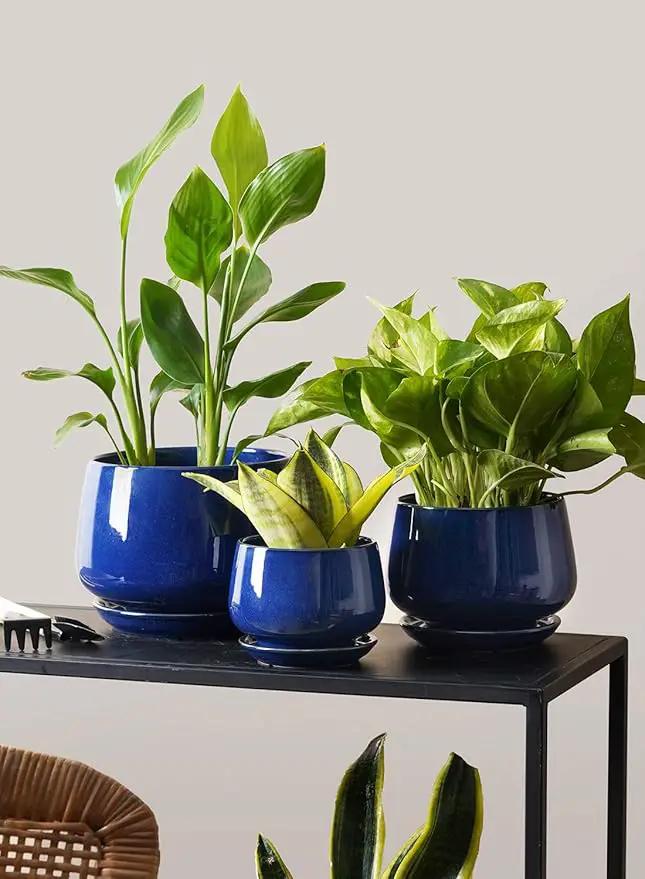 LE TAUCI Plant Pots, 4.1+5.1+6.5 inch, Set of 3, Ceramic Planters with Drainage Hole and Saucer, Indoor Flower Pot with Hole Mesh Pad, Gifts for Mom, Sapphire Blue by GreenHaven Gardens