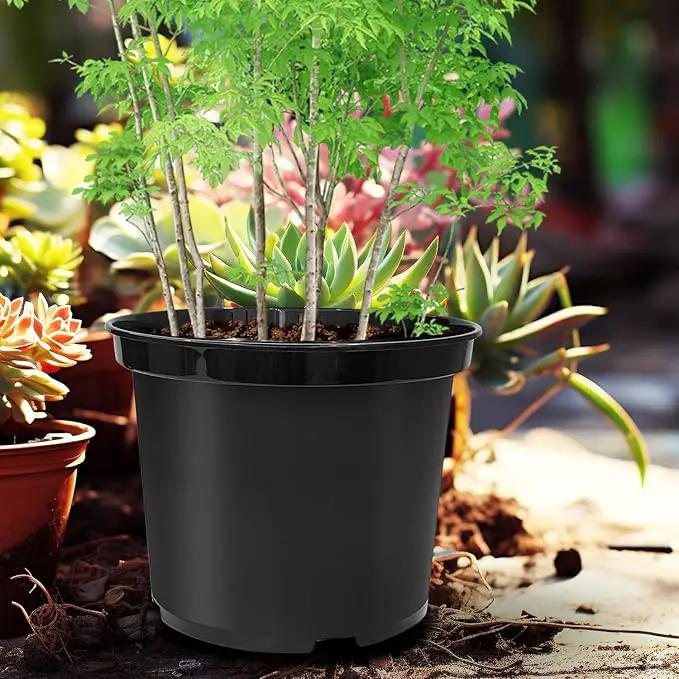 5 Gallon Pots for Plants, 12 Inch Plastic Nursery Pots with Drainage Holes, Round Sturdy Garden Pots for Outdoor Indoor Plants, Deep Nursery Plant Pots Planter, (5-Pack, Black) by GreenHaven Gardens