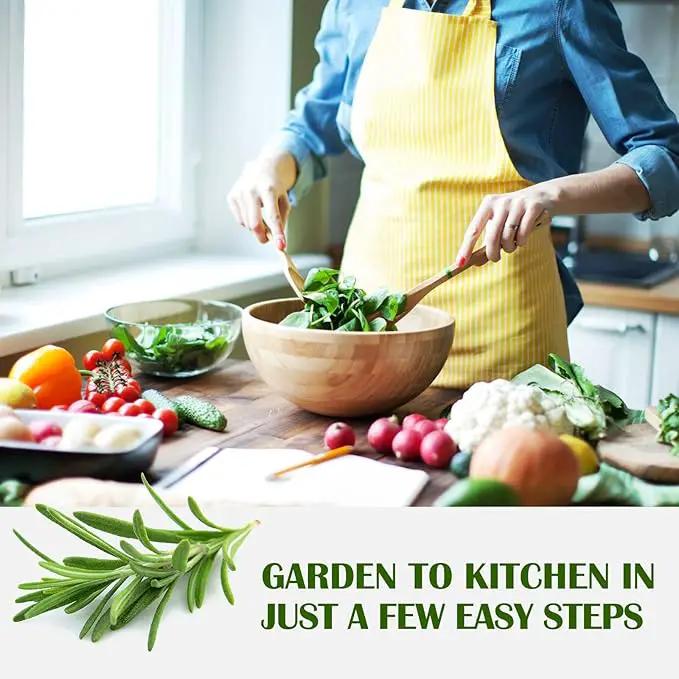 10 Kit Non-GMO Growing into Thyme, Lavender, Chamomile, Dill, Chives, Cilantro, Rosemary, Basil, Parsley, Sage Indoor/Outdoor for Kitchen Windowsill Gardening Gift by GreenHaven Gardens
