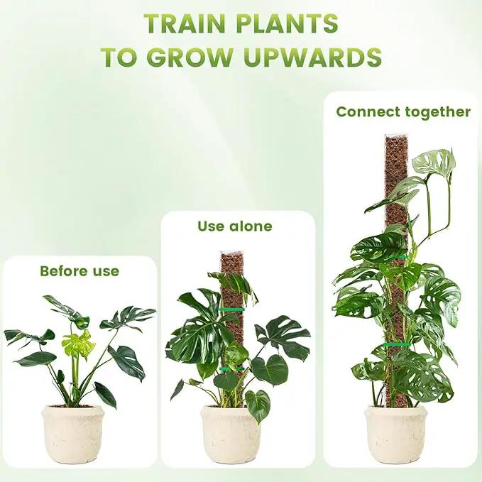 EOX 8 Pcs 24 Inch Plastic Moss Pole for Plants Monstera, Plant Poles for Climbing Plants, Plant Support for Indoor Plants Work with Sphagnum Moss, Garden Ties by GreenHaven Gardens