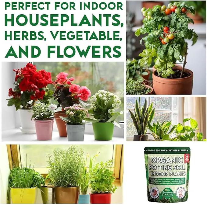 Organic Potting Soil for Indoor Plants. Boost House Plant Growth for Monstera, Fiddle Leaf, Money Tree, Pothos, Snake Plant, Aroid, Flowers, Herbs, Veggies, & More, Smart Grower 3 LB Ready to Plant by GreenHaven Gardens