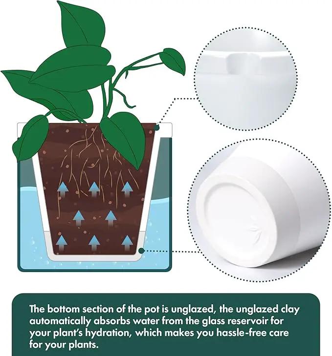 D'vine Dev 8 Inch Design Self Watering Planter for Indoor Plants, White Terracotta Pot with Teal Cylinder Glass Cup, 37-X-C-5 by GreenHaven Gardens