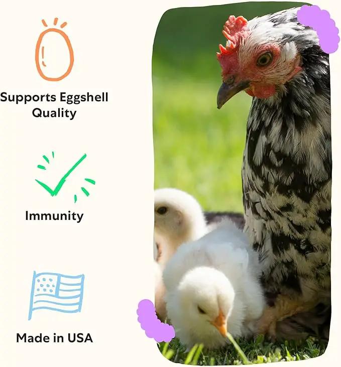 Grubbly Farms Vitamins + Electrolytes Water Supplement for Chickens (30 Day) by GreenHaven Gardens