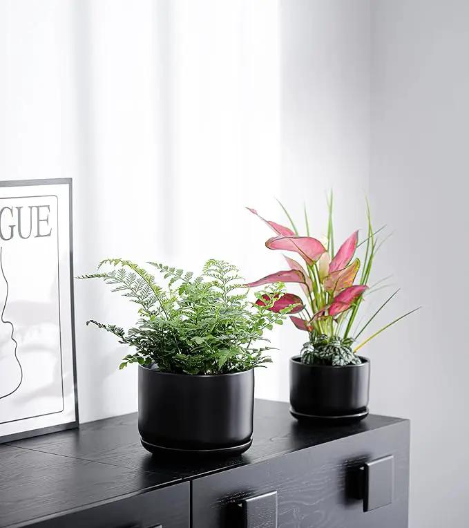 Ton Sin Plant Pots, 4.1+5.1+6.5 inch, Set of 3, Ceramic Planters with Drainage Hole and Saucer, Indoor Flower Pot with Hole Mesh Pad, Gifts for Mom（Matte Black） by GreenHaven Gardens
