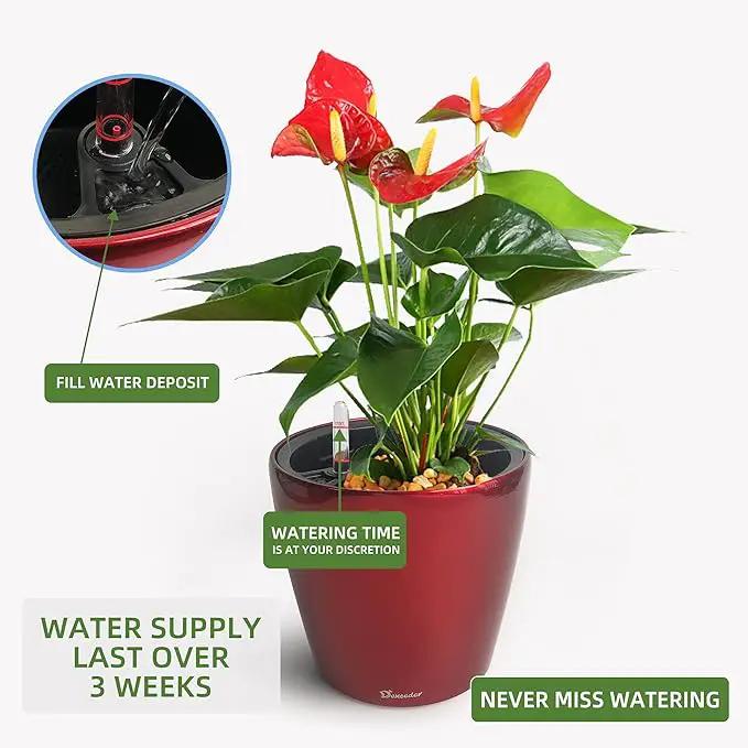 Dexceder 9x8 Inches High Gloss Self Watering Planter Indoor Outdoor, Inner Pot Design, Thickened Table Flower Plant Pot with Water Level Indicator (Red) by GreenHaven Gardens