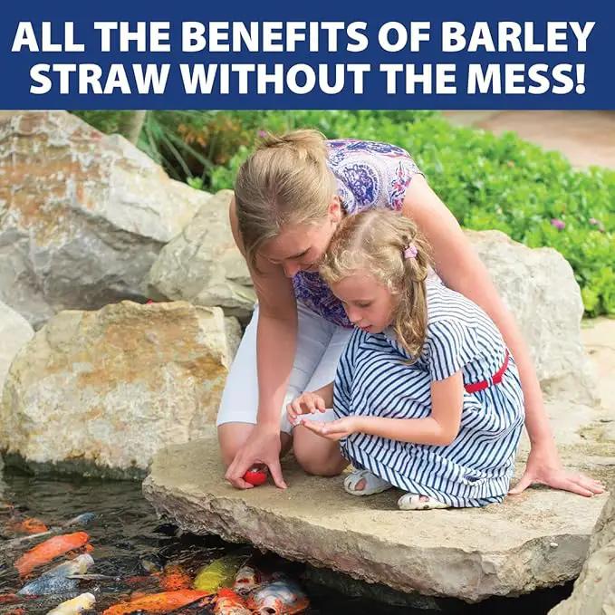 The Pond Guy Barley Extract Natural Liquid Treatment for Ponds and Water Gardens, Safe for Koi Fish and Plants, Natural Solutions for Clear Pond Water - 1 Gallon by GreenHaven Gardens