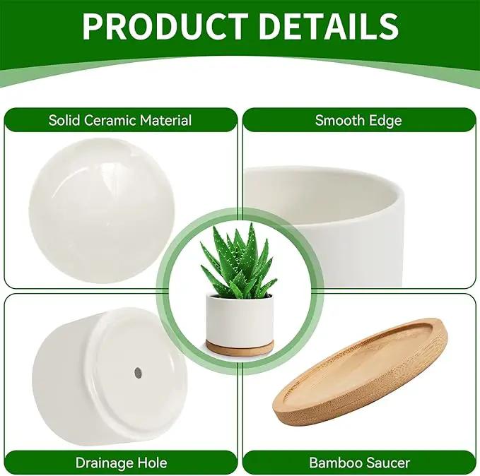 ZOUTOG Plant Pot 4 Inch, Ceramic Succulent Pots with Drainage Hole & Bamboo Tray, Pack of 6 White Small Flower Pots for Home, Office, Indoor or Outdoor Decor - Plants Not Included by GreenHaven Gardens