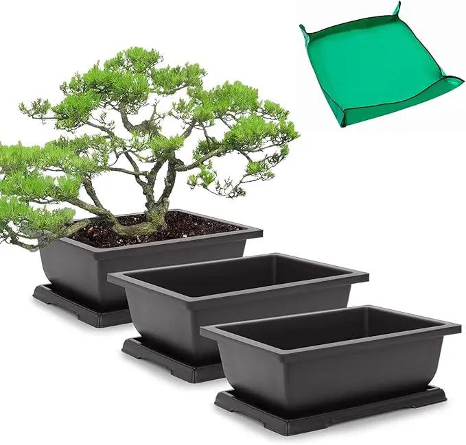 GROWNEER Bonsai Training Pots 3 Packs 9Inch with Drainage Humidity Trays, Bonsai Tree Starter Kits with 1 Repotting Mat, Growing Planter Set for Garden, Yard, Balcony, Office, Living Room by GreenHaven Gardens