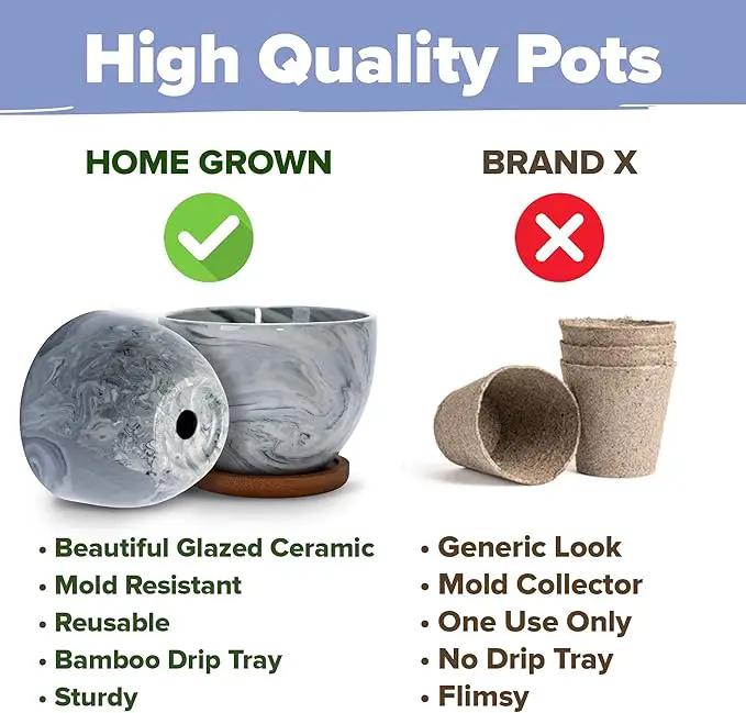 HOME GROWN Bonsai Tree Kit - Premium Ceramic Starter Kit - 4 Variety of Bonsai - Unique Gift for Men and Women Gardeners by GreenHaven Gardens
